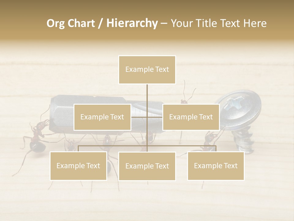 A Group Of Ants Standing On Top Of A Wooden Table PowerPoint Template