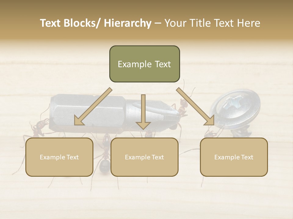 A Group Of Ants Standing On Top Of A Wooden Table PowerPoint Template