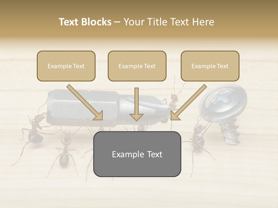 A Group Of Ants Standing On Top Of A Wooden Table PowerPoint Template