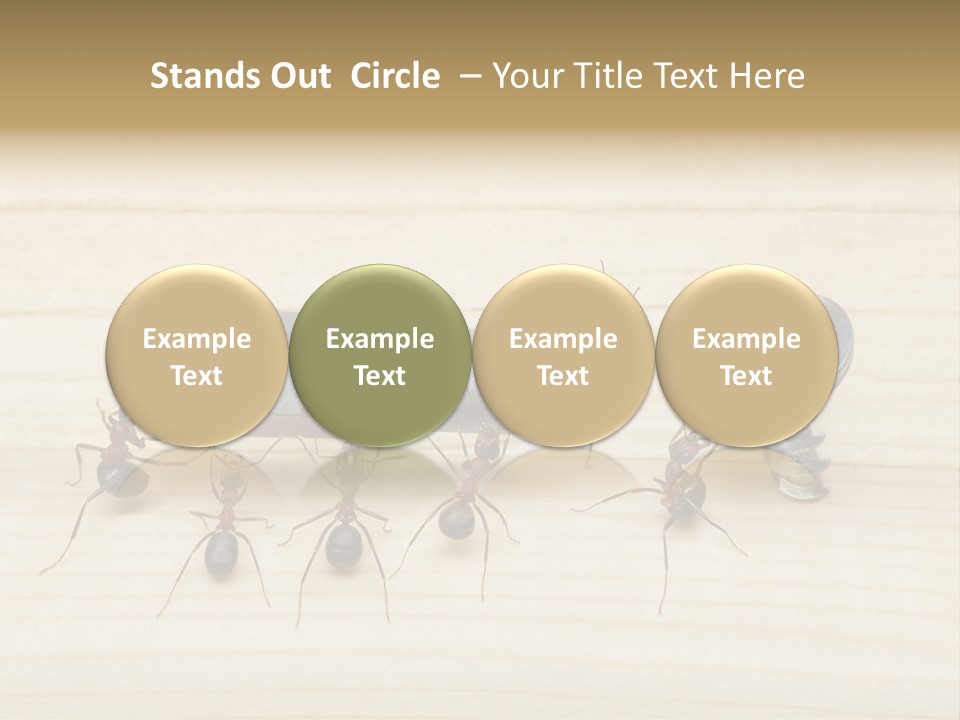 A Group Of Ants Standing On Top Of A Wooden Table PowerPoint Template