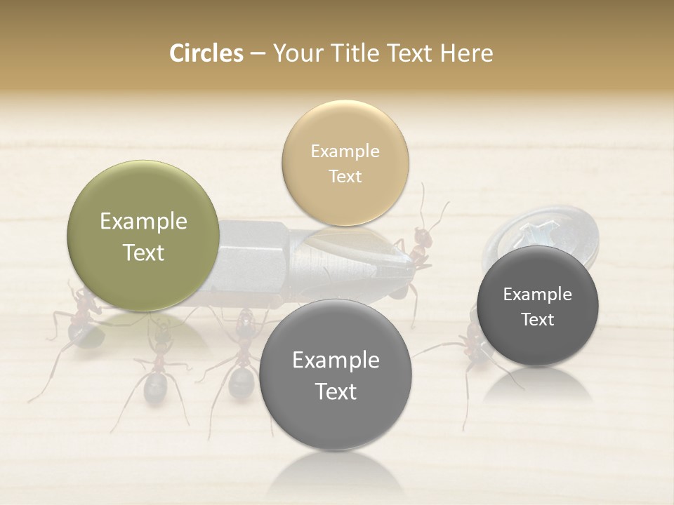 A Group Of Ants Standing On Top Of A Wooden Table PowerPoint Template