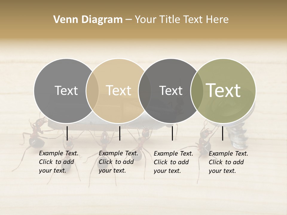 A Group Of Ants Standing On Top Of A Wooden Table PowerPoint Template
