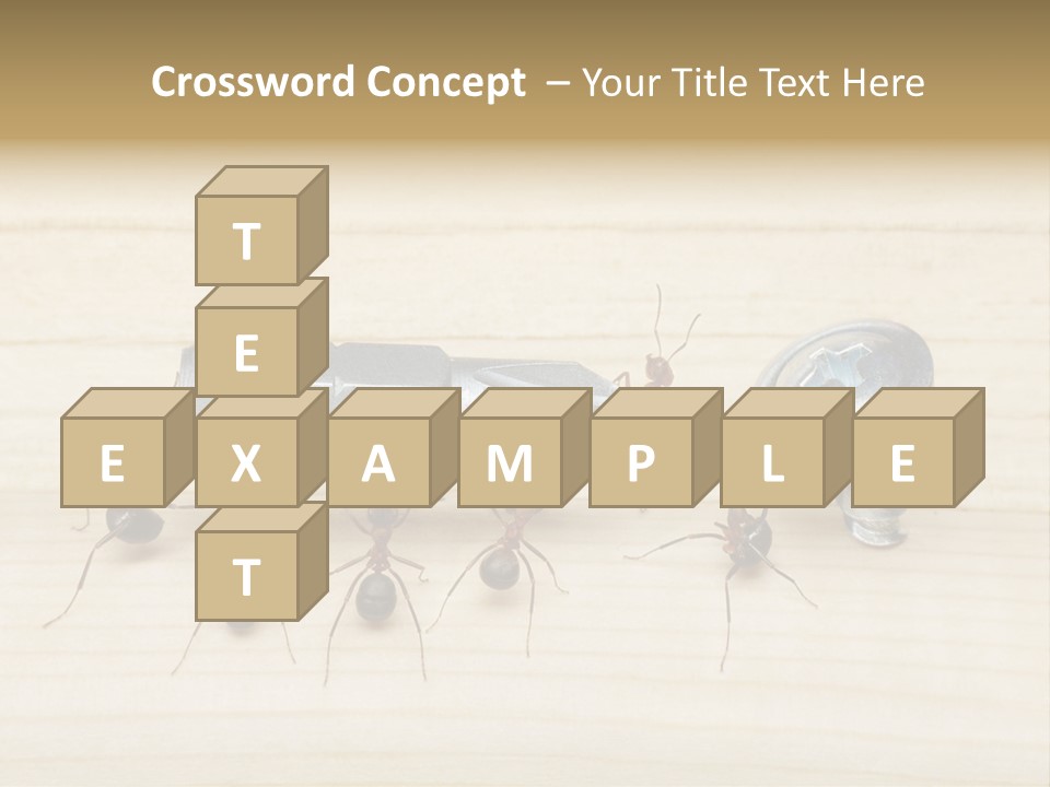 A Group Of Ants Standing On Top Of A Wooden Table PowerPoint Template