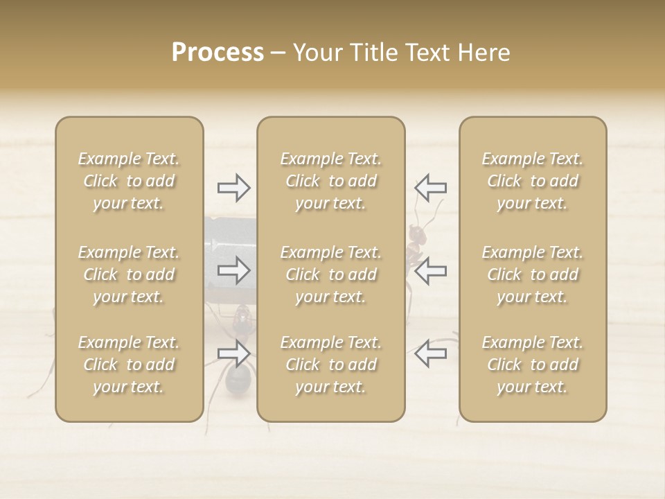 A Group Of Ants Standing On Top Of A Wooden Table PowerPoint Template