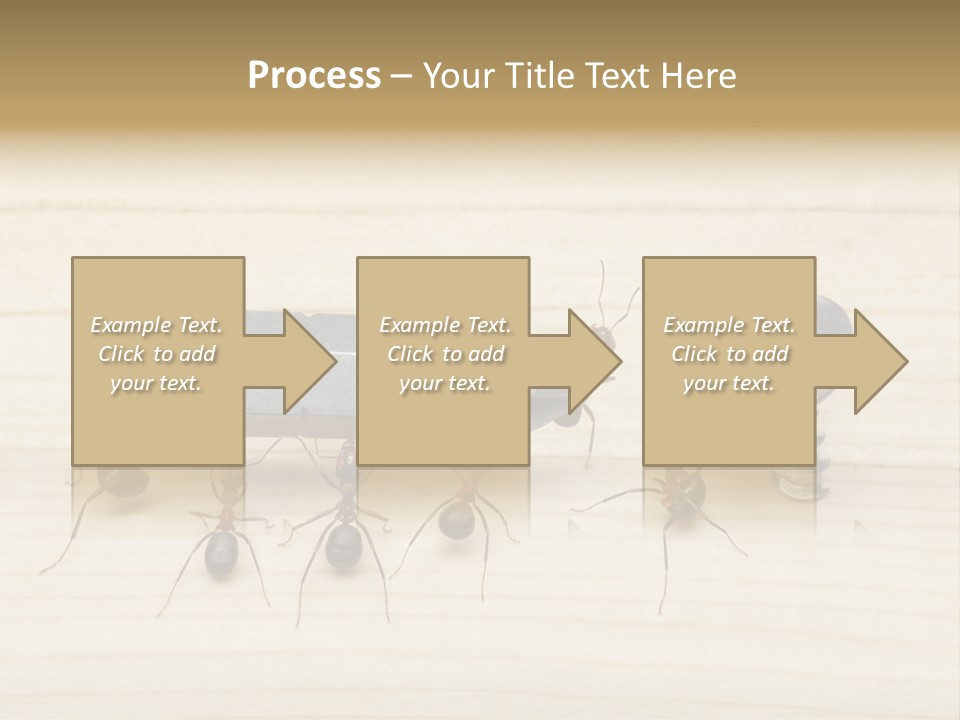 A Group Of Ants Standing On Top Of A Wooden Table PowerPoint Template