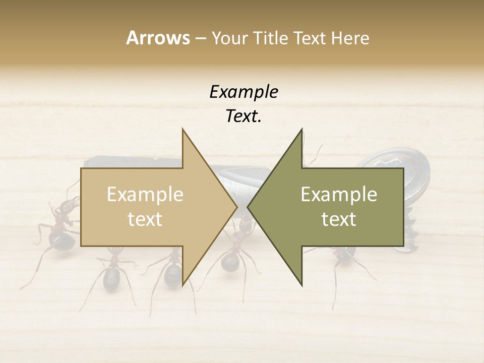 A Group Of Ants Standing On Top Of A Wooden Table PowerPoint Template