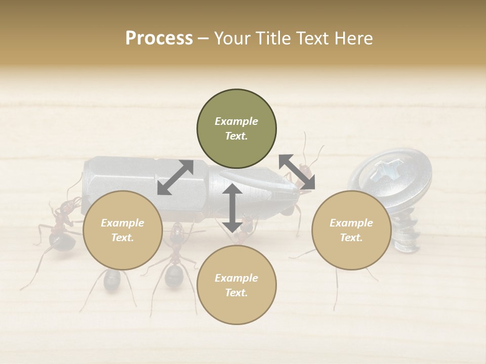 A Group Of Ants Standing On Top Of A Wooden Table PowerPoint Template