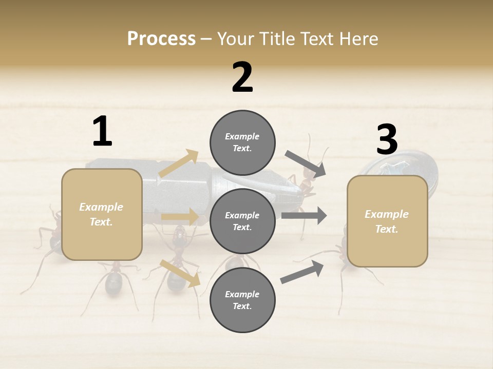 A Group Of Ants Standing On Top Of A Wooden Table PowerPoint Template