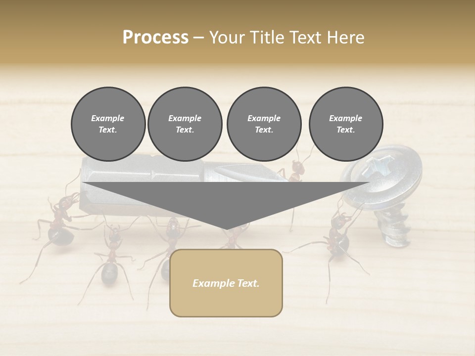 A Group Of Ants Standing On Top Of A Wooden Table PowerPoint Template