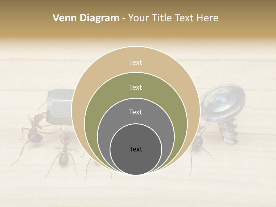 A Group Of Ants Standing On Top Of A Wooden Table PowerPoint Template