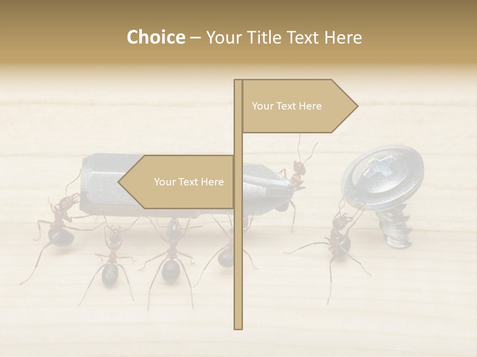 A Group Of Ants Standing On Top Of A Wooden Table PowerPoint Template