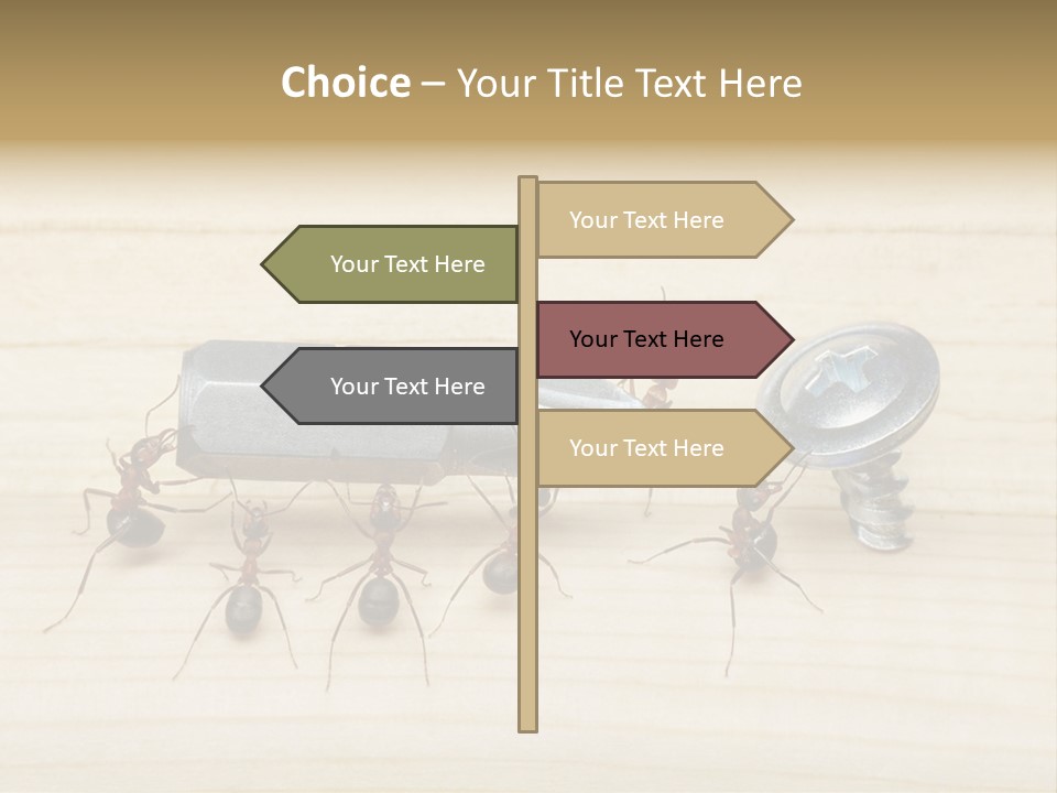 A Group Of Ants Standing On Top Of A Wooden Table PowerPoint Template