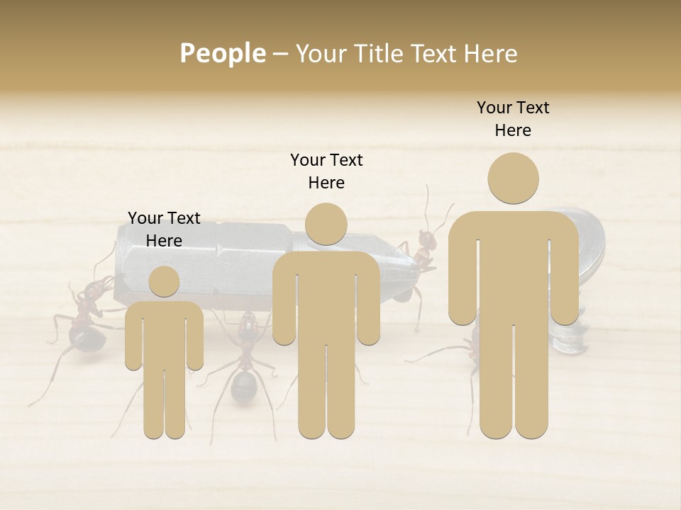A Group Of Ants Standing On Top Of A Wooden Table PowerPoint Template