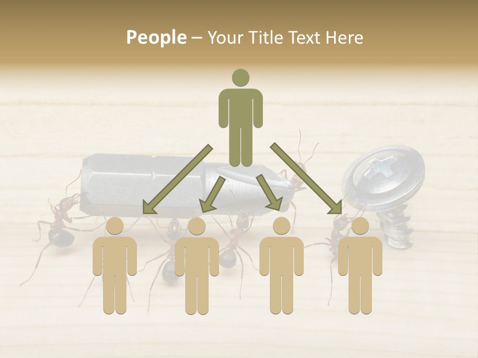 A Group Of Ants Standing On Top Of A Wooden Table PowerPoint Template