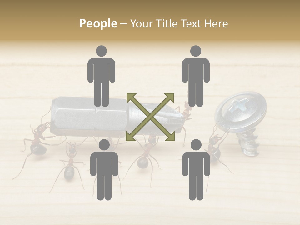 A Group Of Ants Standing On Top Of A Wooden Table PowerPoint Template