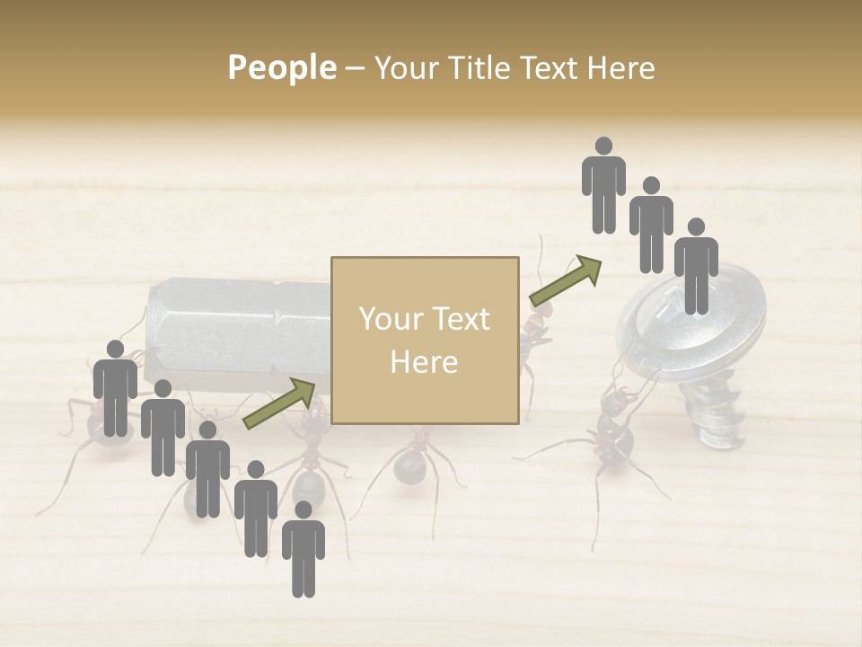 A Group Of Ants Standing On Top Of A Wooden Table PowerPoint Template