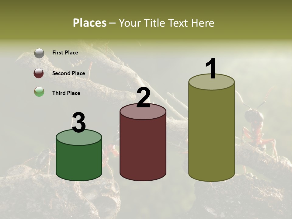 Tree Ant Anthill PowerPoint Template