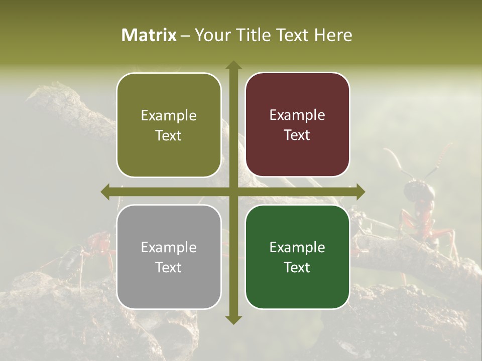 Tree Ant Anthill PowerPoint Template