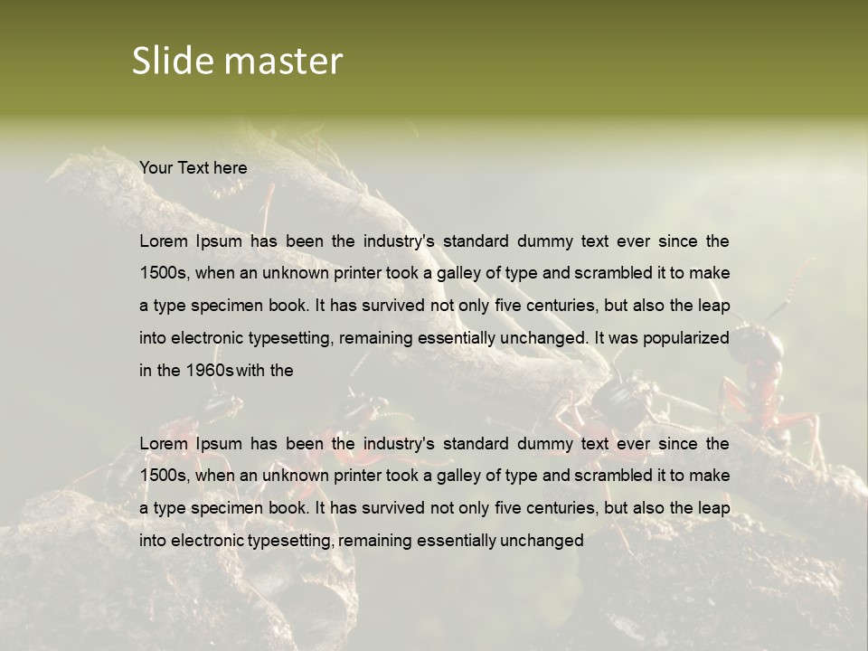 Tree Ant Anthill PowerPoint Template