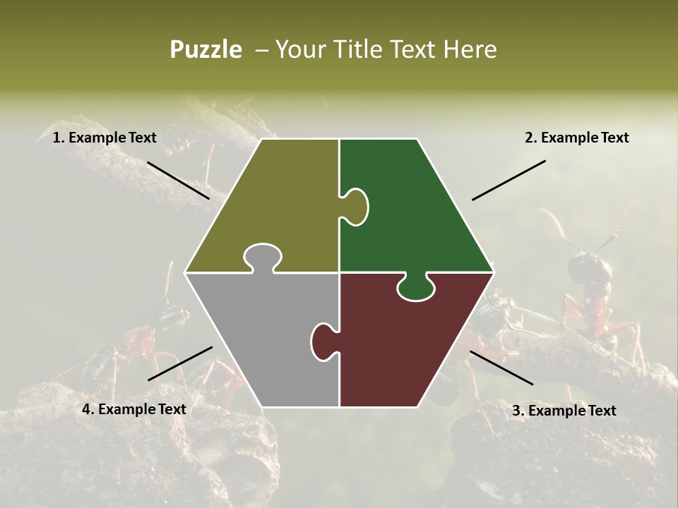 Tree Ant Anthill PowerPoint Template