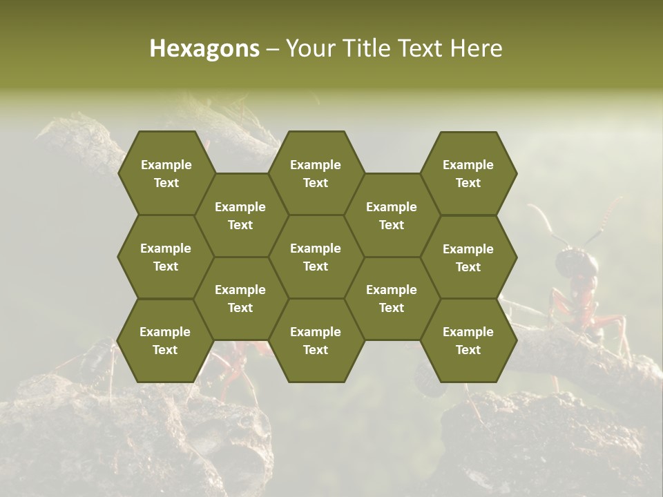 Tree Ant Anthill PowerPoint Template