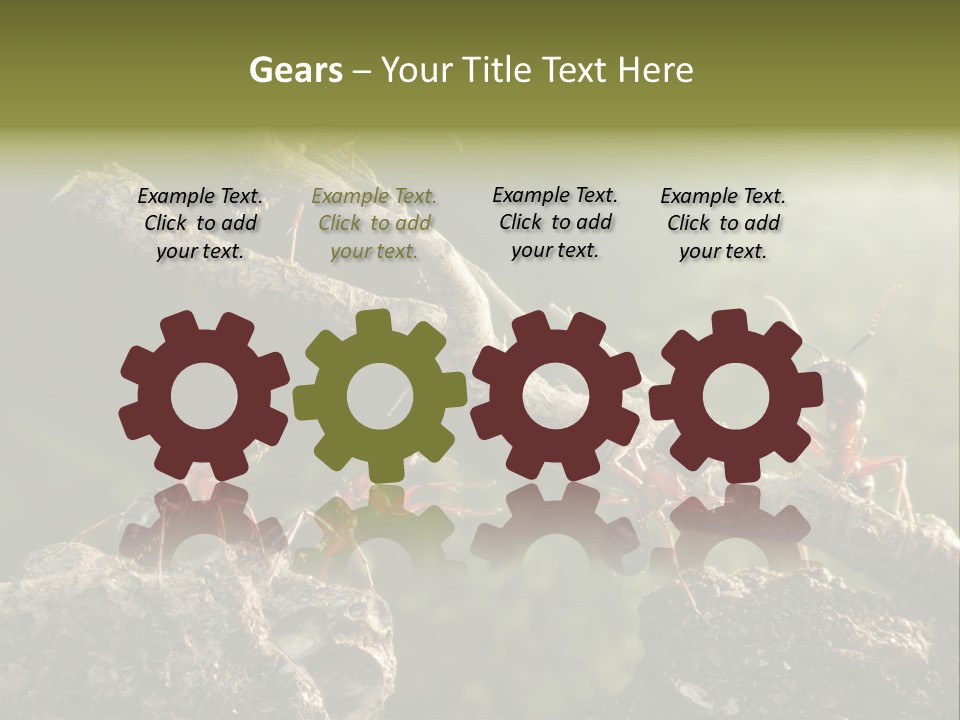 Tree Ant Anthill PowerPoint Template