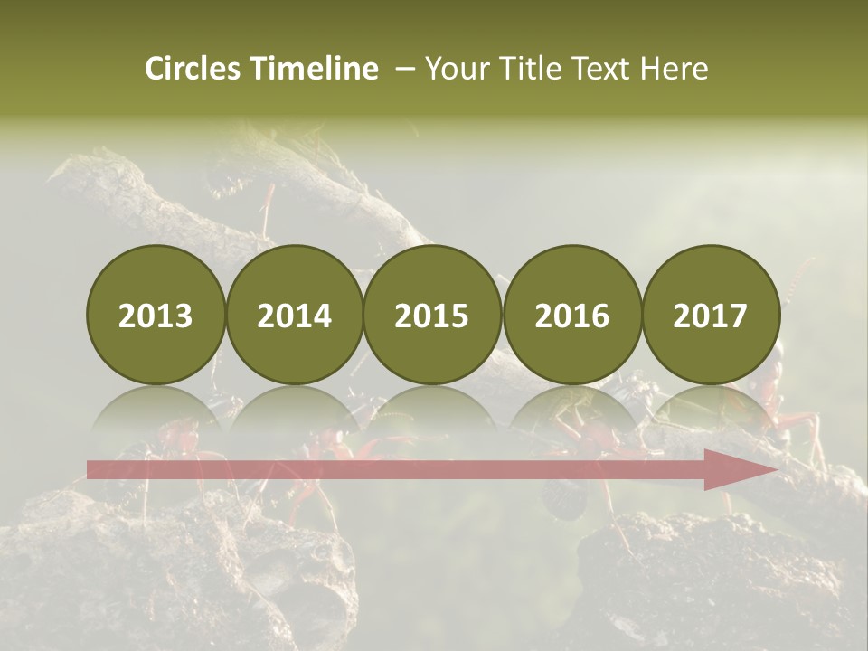 Tree Ant Anthill PowerPoint Template