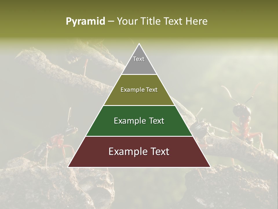 Tree Ant Anthill PowerPoint Template