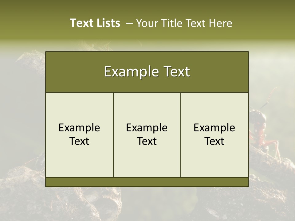Tree Ant Anthill PowerPoint Template