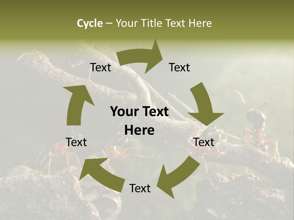 Tree Ant Anthill PowerPoint Template
