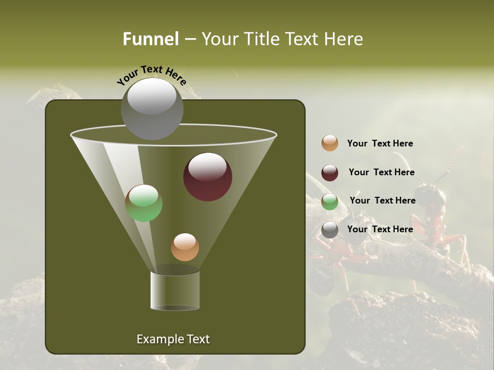 Tree Ant Anthill PowerPoint Template