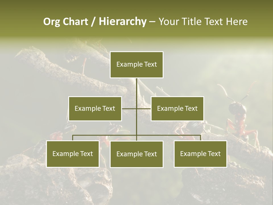 Tree Ant Anthill PowerPoint Template
