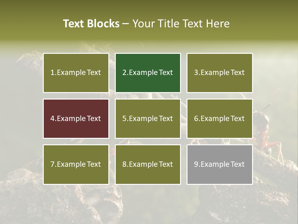 Tree Ant Anthill PowerPoint Template
