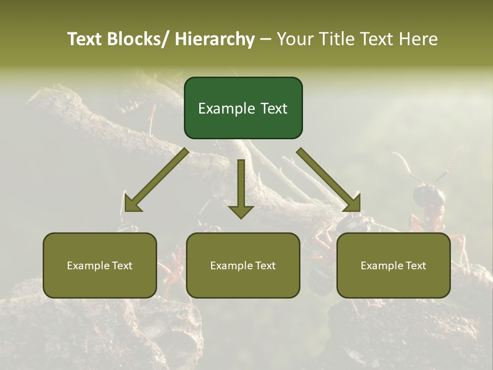 Tree Ant Anthill PowerPoint Template