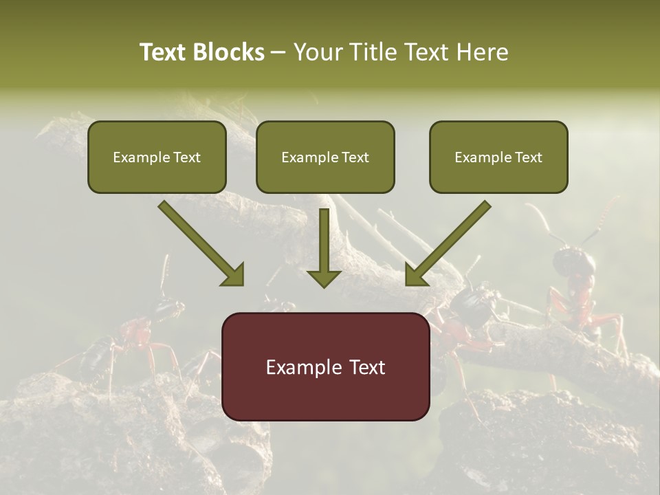 Tree Ant Anthill PowerPoint Template