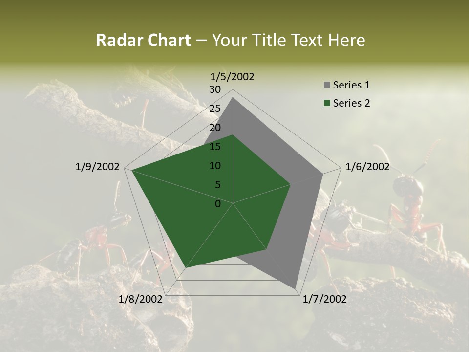 Tree Ant Anthill PowerPoint Template