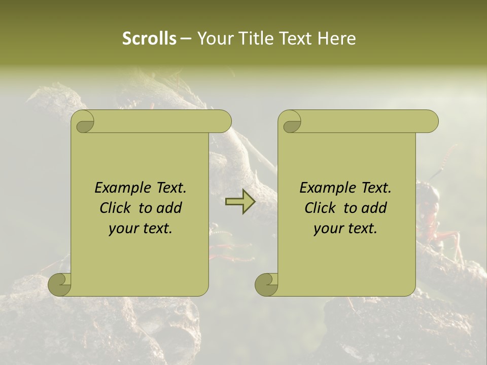 Tree Ant Anthill PowerPoint Template