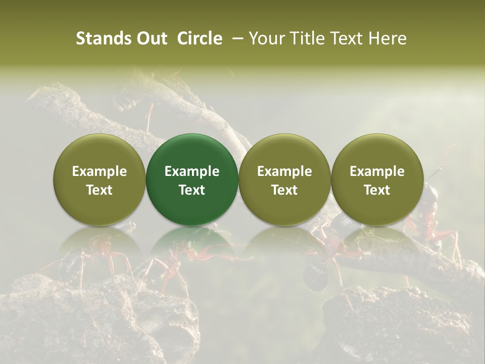 Tree Ant Anthill PowerPoint Template