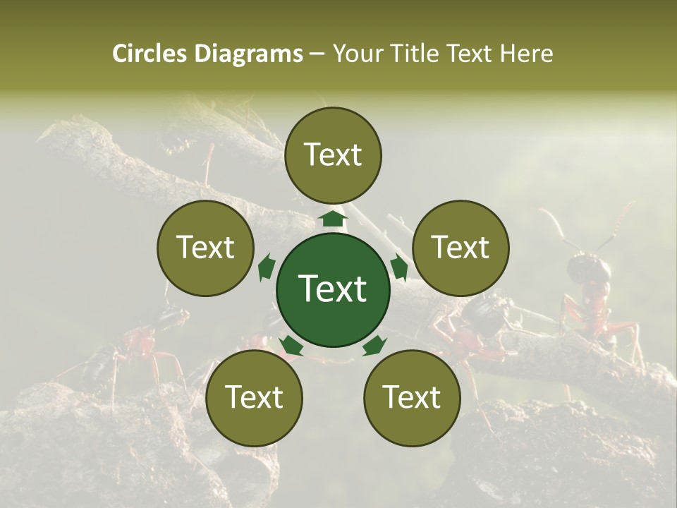 Tree Ant Anthill PowerPoint Template