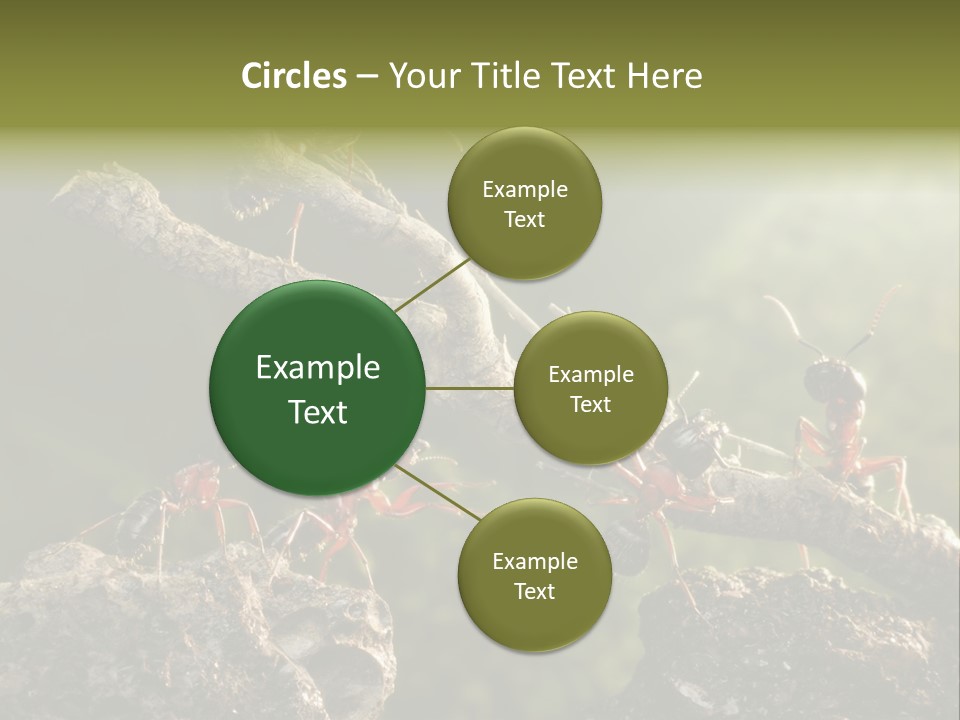 Tree Ant Anthill PowerPoint Template