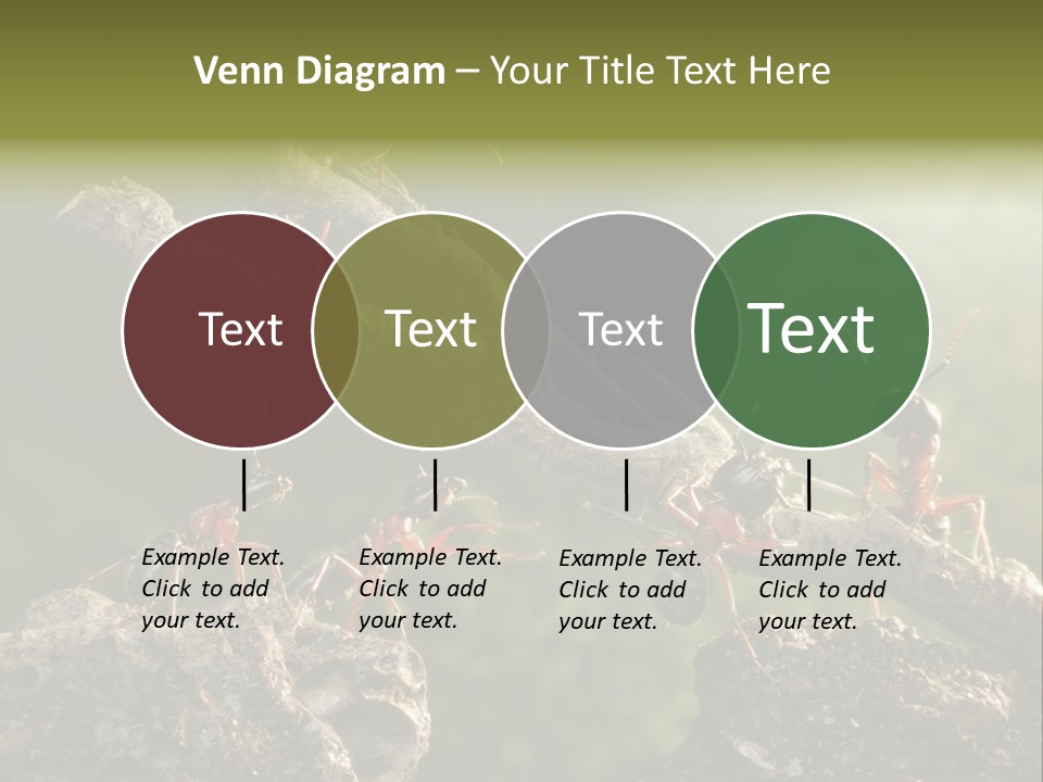 Tree Ant Anthill PowerPoint Template