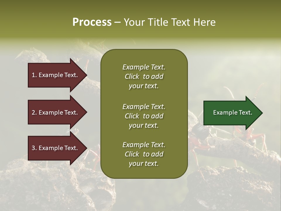 Tree Ant Anthill PowerPoint Template