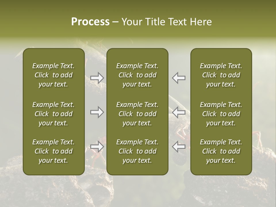 Tree Ant Anthill PowerPoint Template