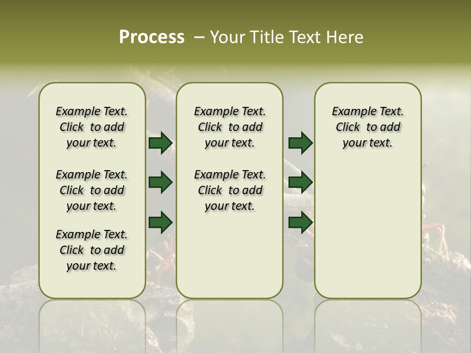Tree Ant Anthill PowerPoint Template
