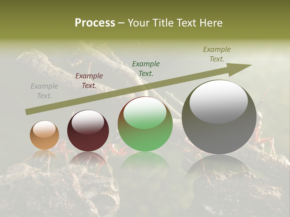 Tree Ant Anthill PowerPoint Template