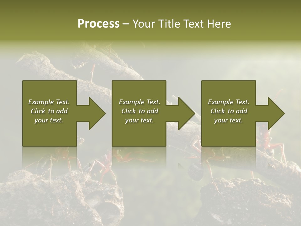 Tree Ant Anthill PowerPoint Template