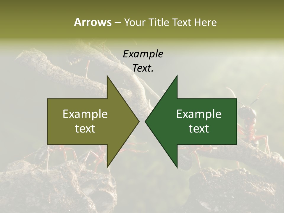 Tree Ant Anthill PowerPoint Template