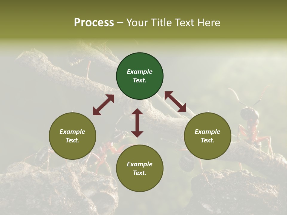 Tree Ant Anthill PowerPoint Template