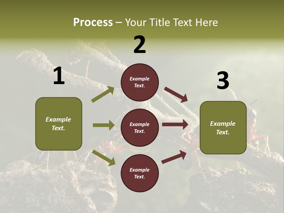 Tree Ant Anthill PowerPoint Template