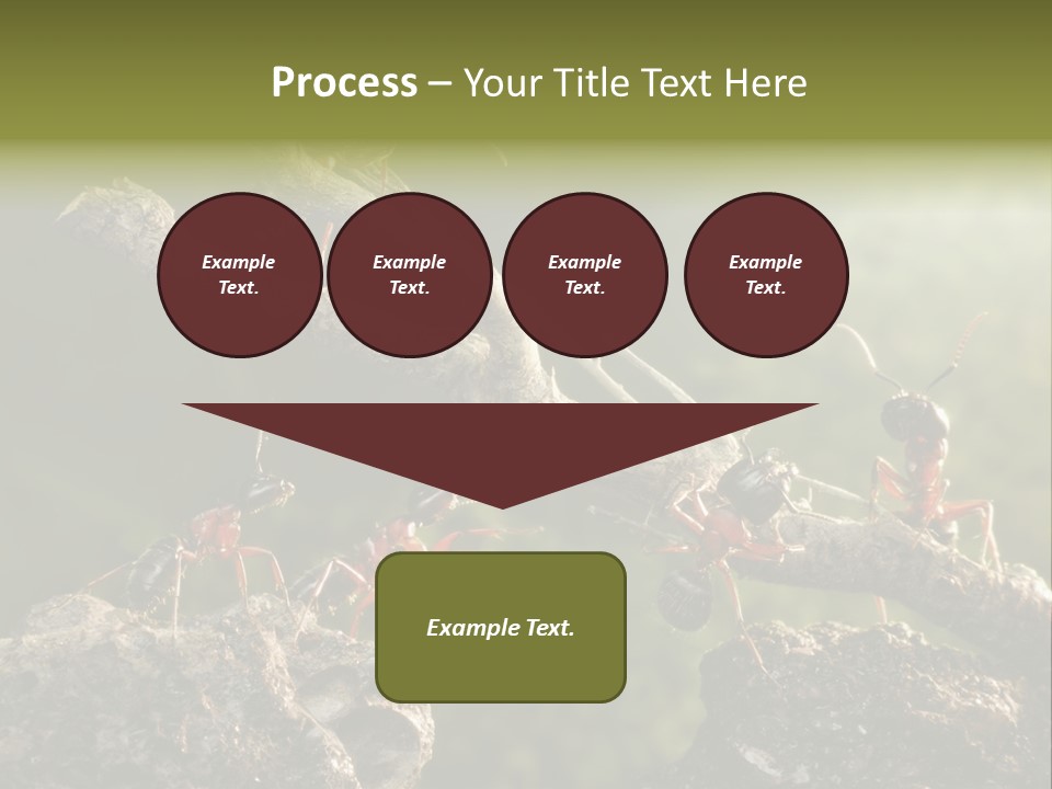 Tree Ant Anthill PowerPoint Template